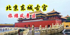 黄片日逼美女中国北京-东城古宫旅游风景区